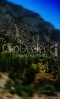 Vertical vivid summer toy mountain landscape bokeh background
