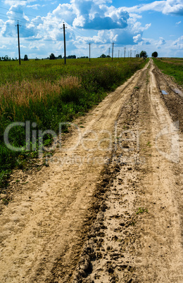 Vertical typical Russian summer road landscape