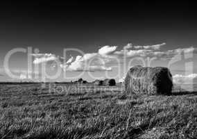 Horizontal black and white hay stack landscape background