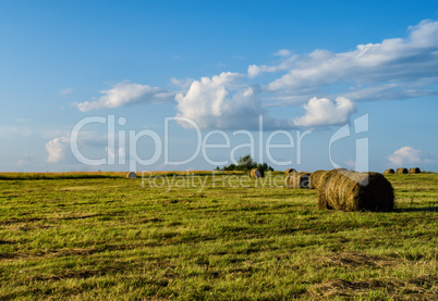 Horizontal vivid hay stack on the field