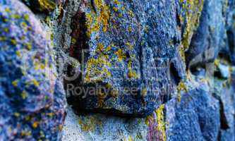 Horizontal vibrant acid moss stones rock texture bokeh backgroun
