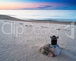 Horizontal vivid photography lens sunset on the beach background