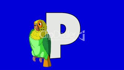 Letter P and Parrot (foreground)
