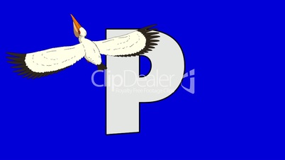 Letter P and Pelican (foreground)