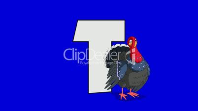 Letter T and  Turkey (foreground)