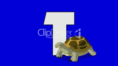 Letter T and Turtle (foreground)