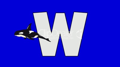 Letter W and  Whale  (foreground)