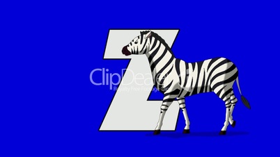 Letter Z  and  Zebra  (foreground)