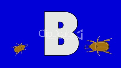 Letter B and Beetle (foreground)