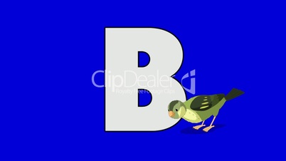 Letter B and Bird (foreground)