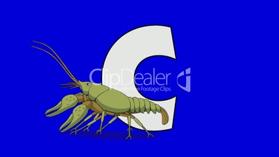 Letter C and Crayfish (foreground)