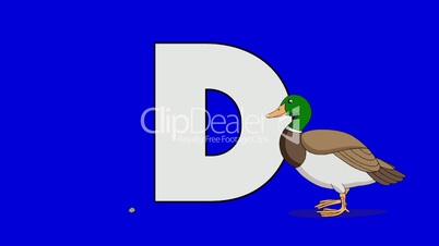 Letter D and Duck  (foreground)
