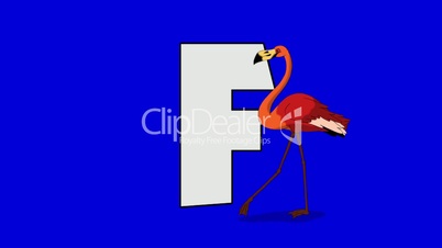 Letter F and Flamingo (foreground)