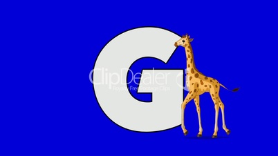 Letter G and Giraffe (foreground)