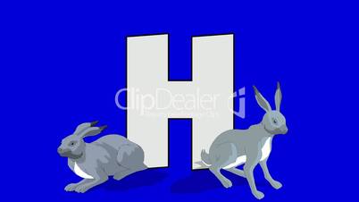 Letter H and Hare (foreground)