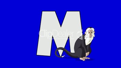 Letter M and  Monkey  (foreground)