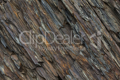 Stone texture closeup background