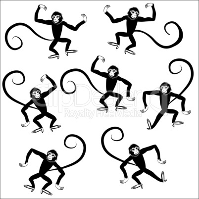 seamless monkey animal vector illustration for Chinese new year