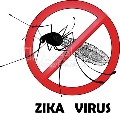 No zika mosquito gnat insect vector sign. Carry many disease such as dengue fever, zika virus, yellow fever, chikungunya disease, filariasis, malaria , enchaphalitits.