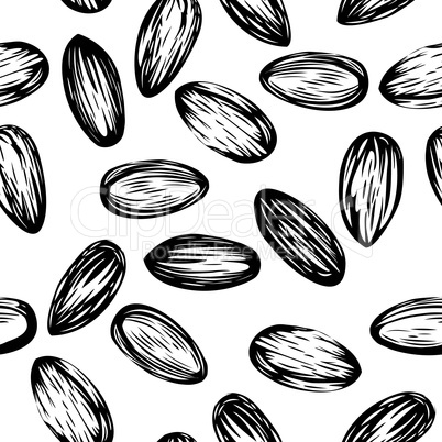 Almonds nut seamless vector background drawing of nuts  edible seeds of the tree, used in animal feed and human.