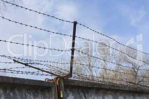 Security with a barbed wire fence. Protection concept design.