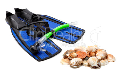 Diving equipment and seashells