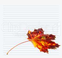Multicolor autumn maple-leaf and notebook paper