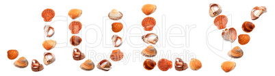 JULY text composed of seashells