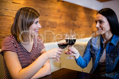 Female friends toasting wine