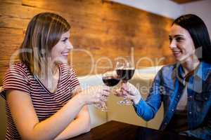 Female friends toasting wine