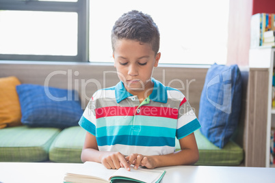 Schoolboy reading a book in library