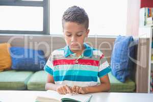 Schoolboy reading a book in library
