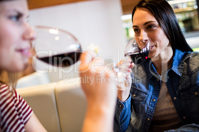 Female friends drinking red wine