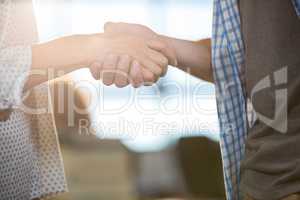 Colleagues shaking hands in creative office