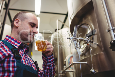 Manufacturer smelling beer at brewery