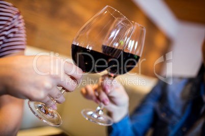 Female friends toasting wineglass