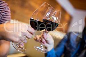 Female friends toasting wineglass