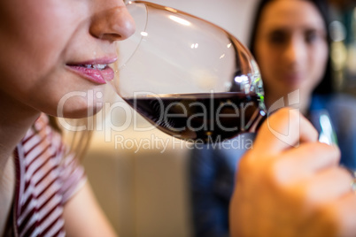 Cropped image of woman drinking wine Cropped image of woman drinking wine