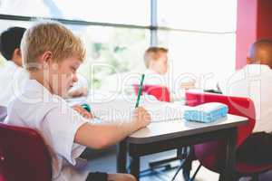 Schoolboy studying in classroom