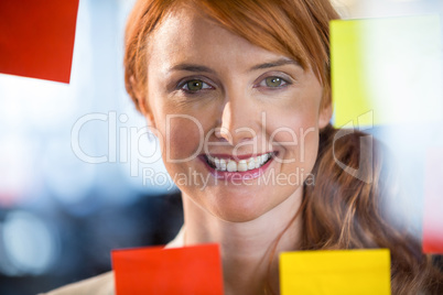 Portrait of pretty businesswoman seen through glass