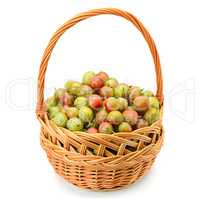 berry of gooseberry in a basket