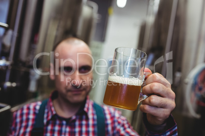 Manufacturer looking at beer mug
