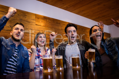 Friends enjoying with beer mugs in restaurant