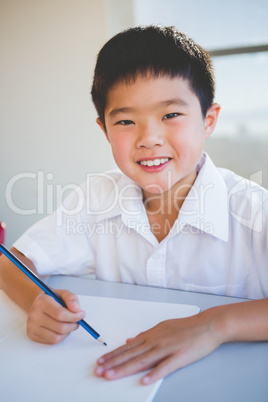 Schoolboy doing homework in classroom