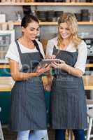 Smiling two waitresses using digital tablet