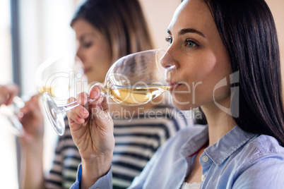 Young woman drinking wine with friends