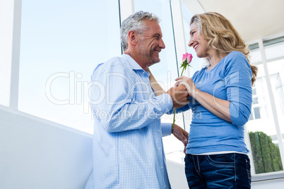 Mature man giving rose to woman