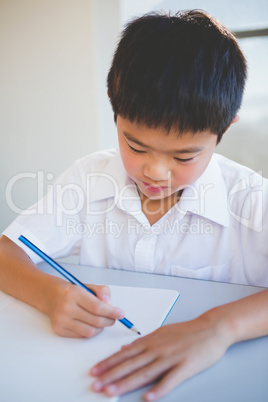 Schoolboy doing homework in classroom