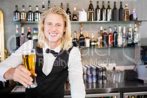 Waiter holding glass of beer at bar counter