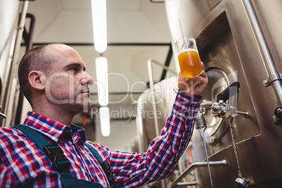 Manufacturer examining beer in mug